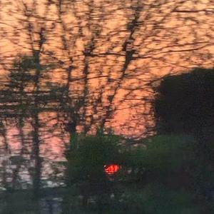 真人做爰视频成人观看
